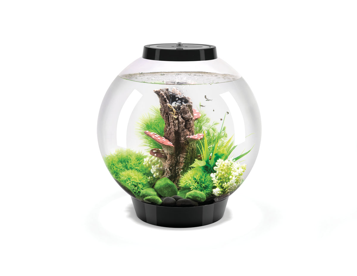 Aquarium biOrb CLASSIC 30 LED noir — biOrb CLASSIC 30 LED zwart