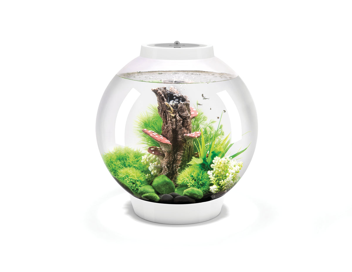 Aquarium biOrb CLASSIC 30 LED blanc — biOrb CLASSIC 30 LED wit