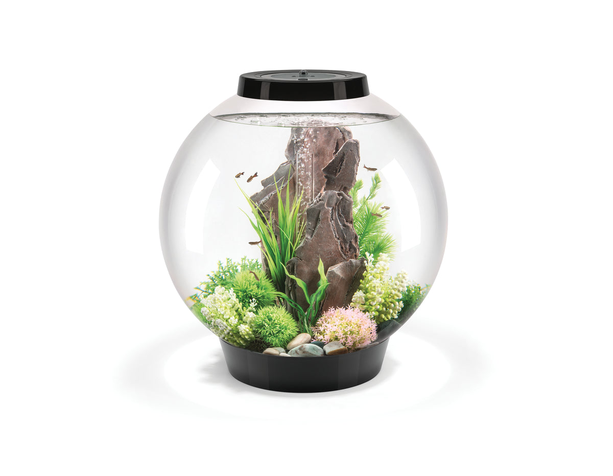Aquarium biOrb CLASSIC 60 MCR noir — biOrb CLASSIC 60 MCR zwart
