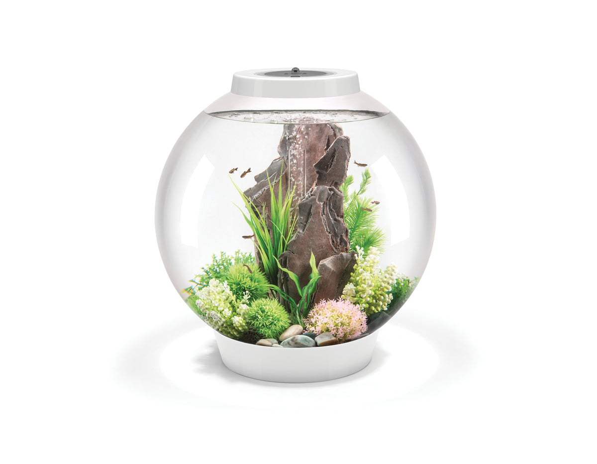 Aquarium biOrb CLASSIC 60 MCR blanc — biOrb CLASSIC 60 MCR wit