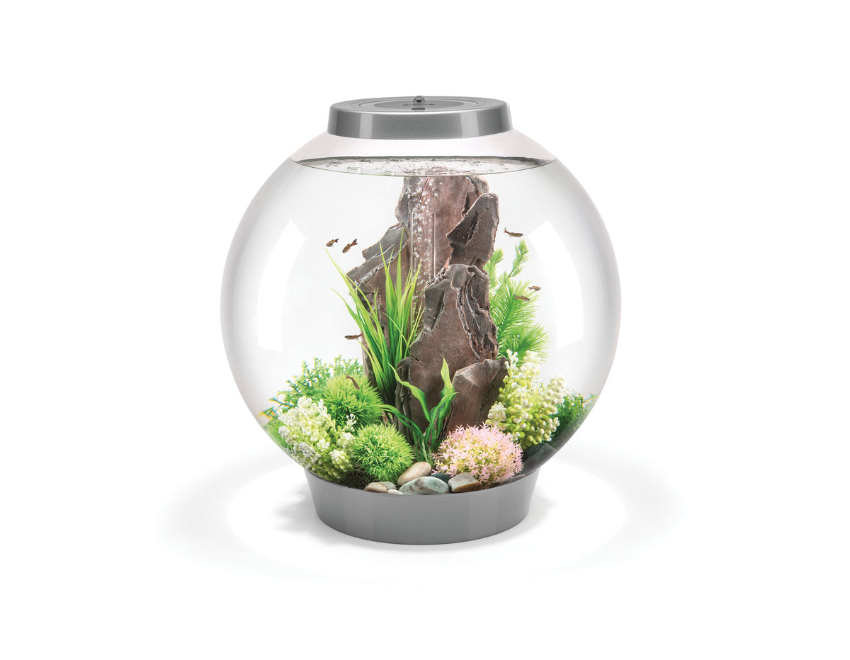 Aquarium biOrb CLASSIC 60 MCR argenté — biOrb CLASSIC 60 MCR zilver