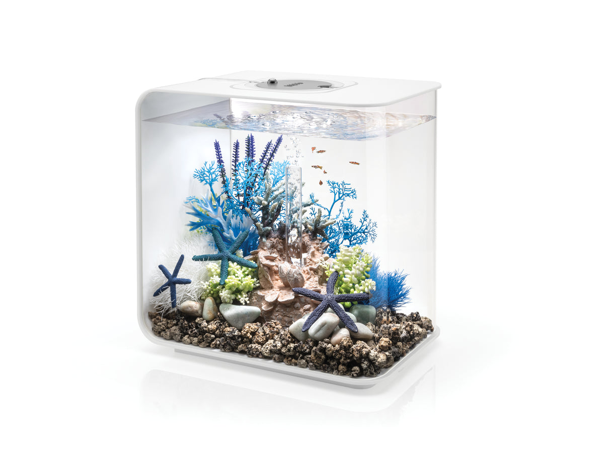 Aquarium biOrb FLOW 30 LED blanc — biOrb FLOW 30 LED wit