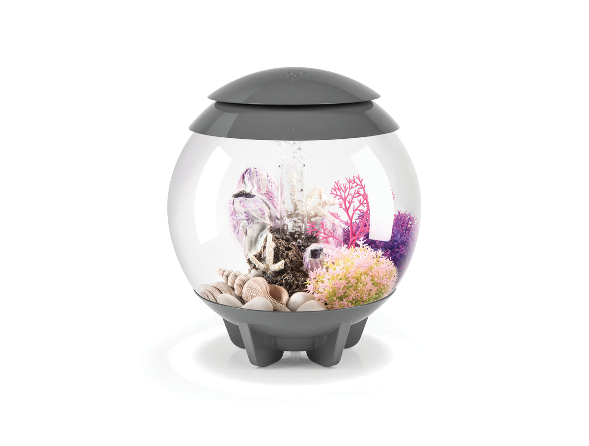 Aquarium biOrb HALO 15 MCR gris — biOrb HALO 15 MCR grijs