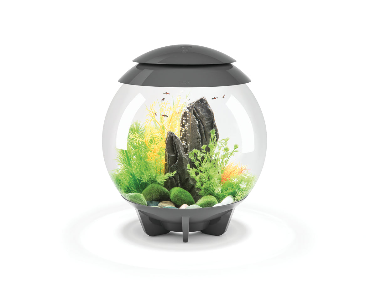 Aquarium biOrb HALO 30 MCR gris — biOrb HALO 30 MCR grijs