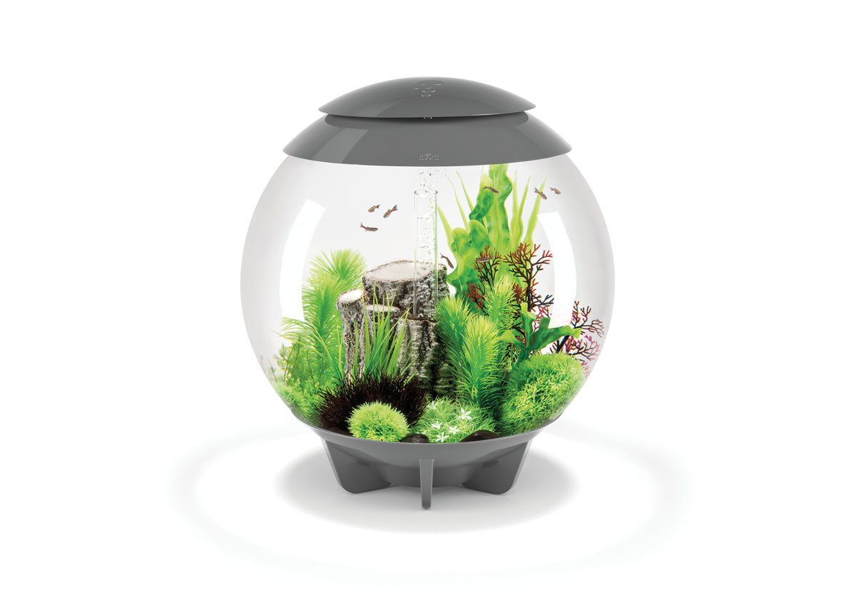 Aquarium biOrb HALO 60 MCR gris — biOrb HALO 60 MCR grijs