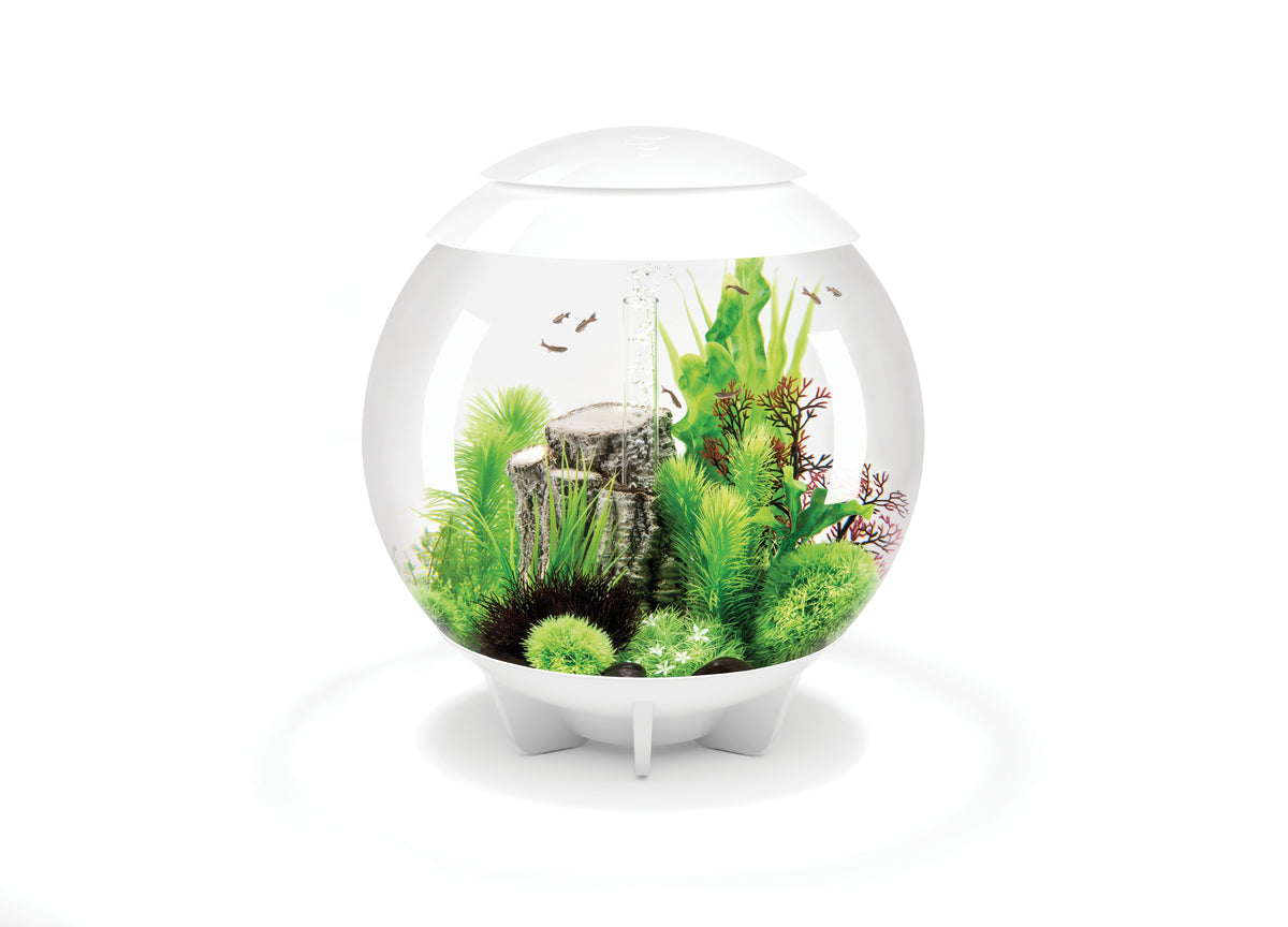 Aquarium biOrb HALO 60 MCR blanc — biOrb HALO 60 MCR wit