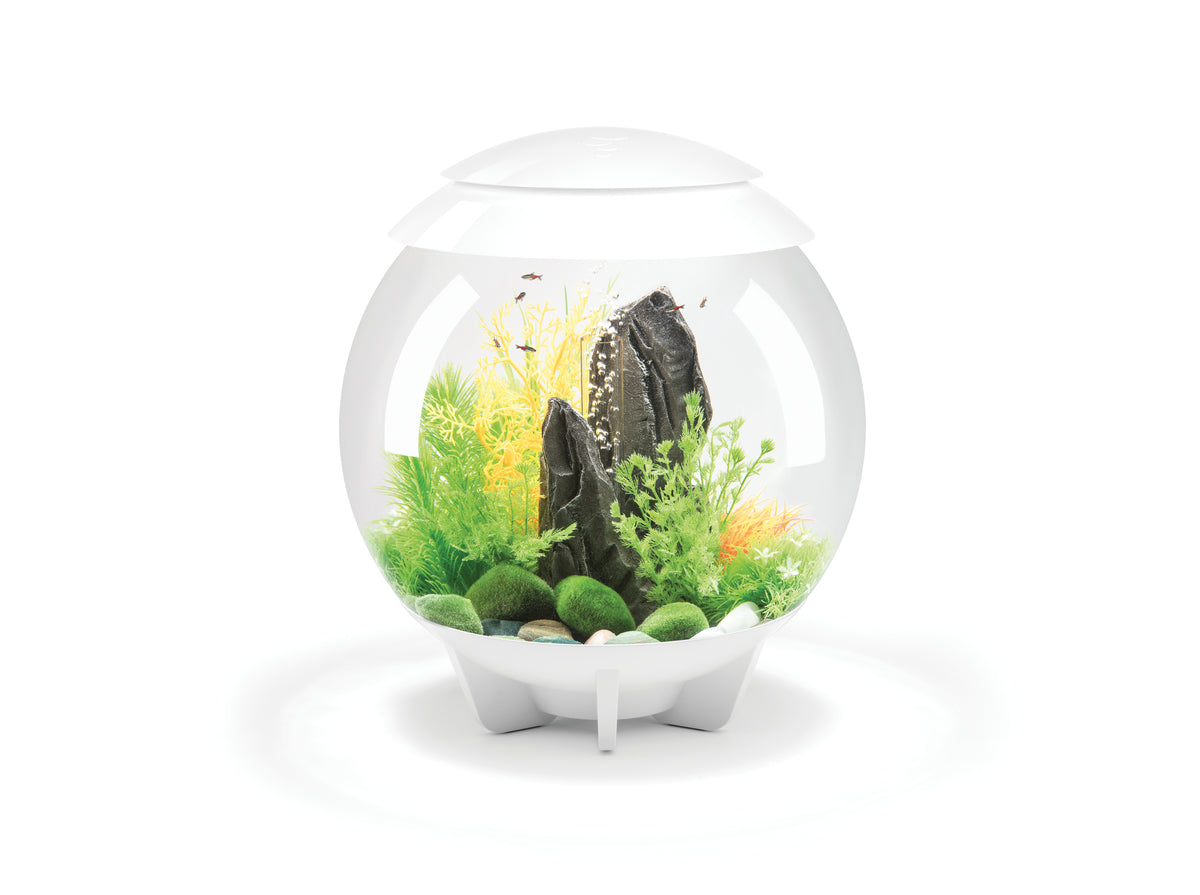 Aquarium biOrb HALO 30 MCR blanc — biOrb HALO 30 MCR wit