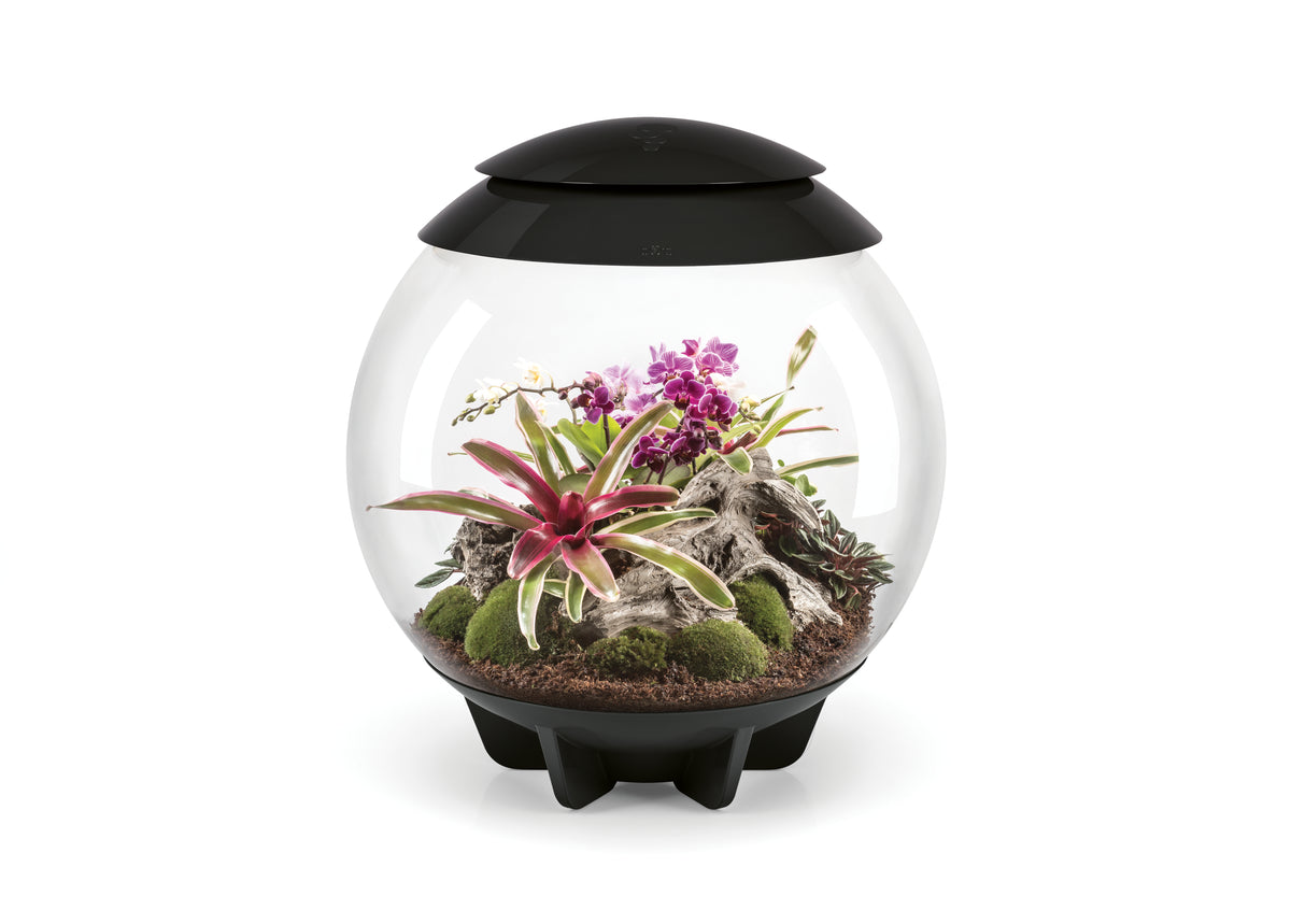Terrarium biOrb AIR 60 noir — biOrb AIR 60 zwart