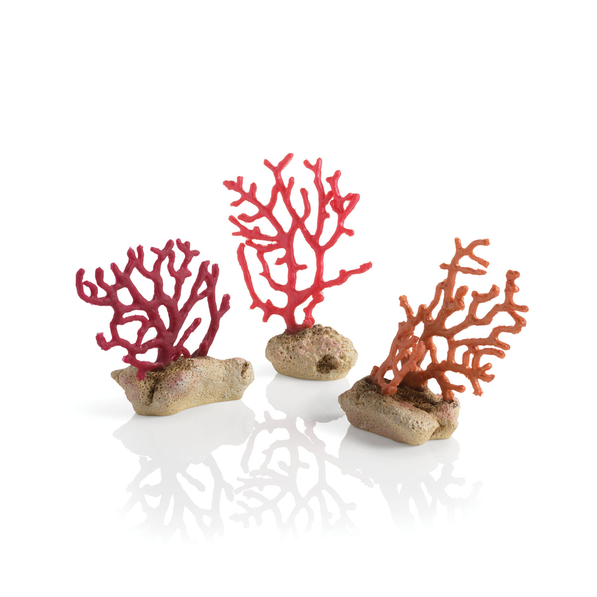 Lot de coraux fouets biOrb — biOrb zweepkoraal set