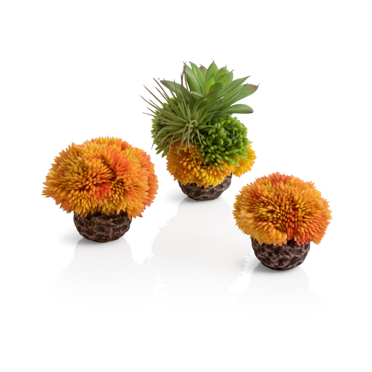 Lot de boules de corail biOrb orange — biOrb koraalballenset oranje