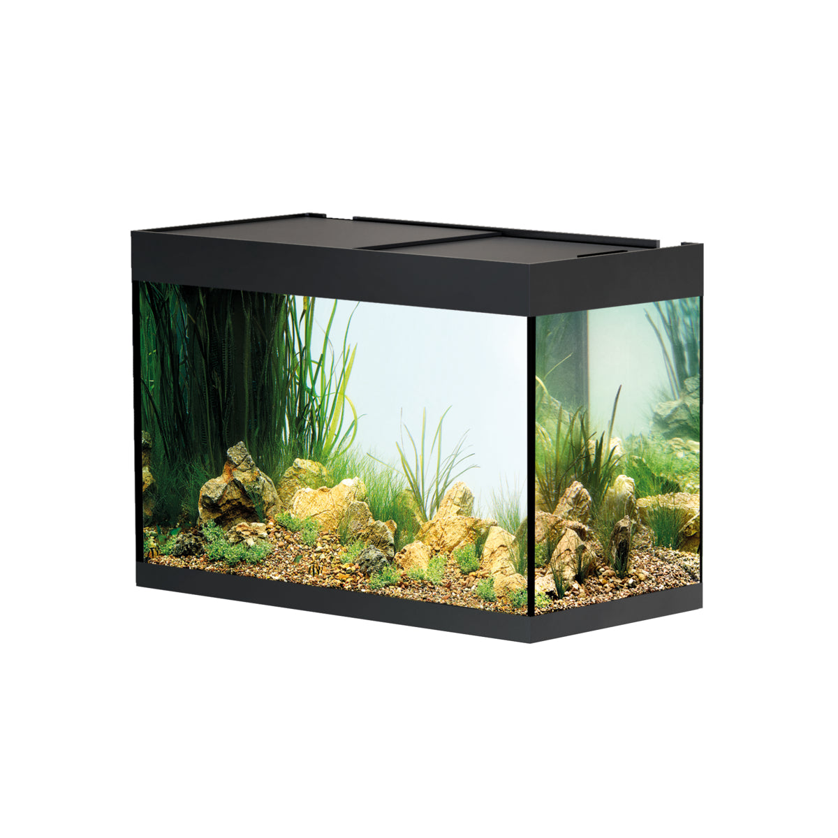 Aquarium StyleLine 175 noir — StyleLine 175 Aquarium zwart