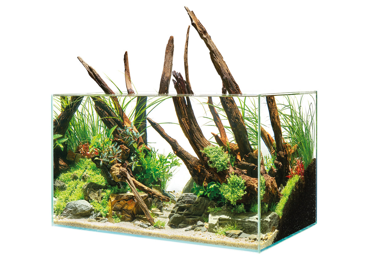 Aquarium ScaperLine 60 — ScaperLine 60 Aquarium