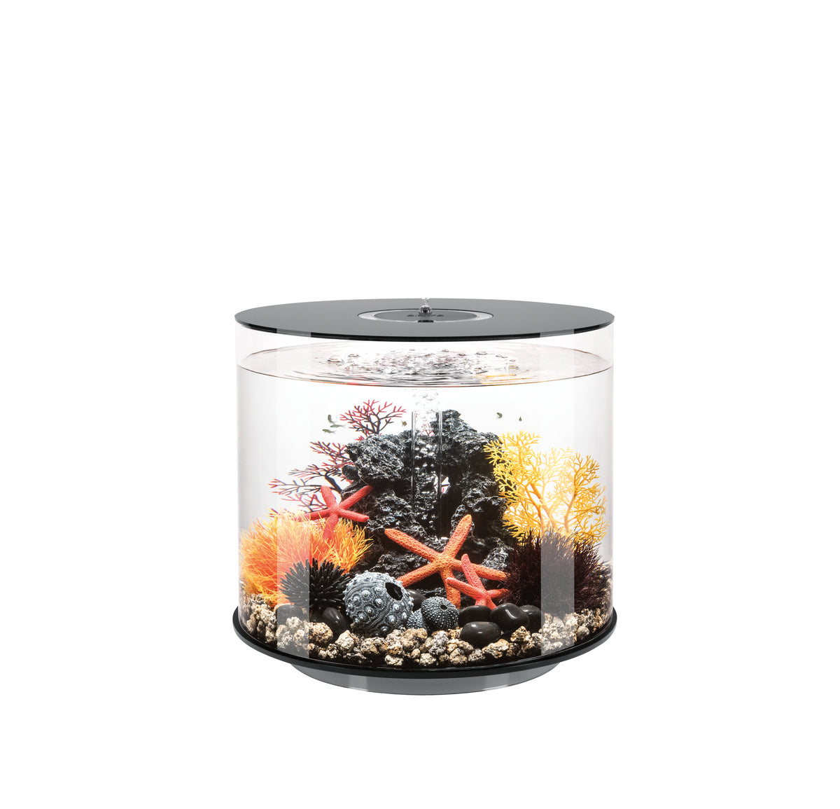 Aquarium biOrb TUBE 35 MCR noir — biOrb TUBE 35 MCR zwart