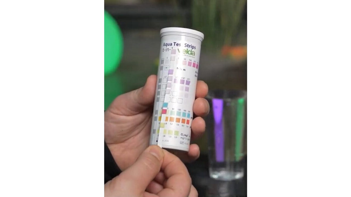 Présentoir Aqua Test Strips 36 pièces - Velda