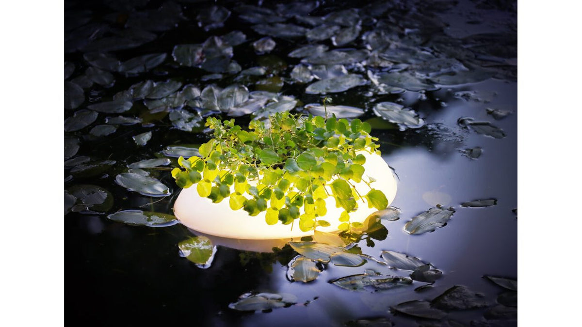 Éclairage flottant pour bassin Floating Pond Light - Velda