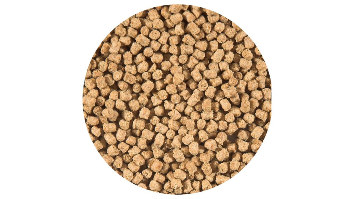 Nourriture pour poissons Vivelda Sinking Pellet 330 ml
