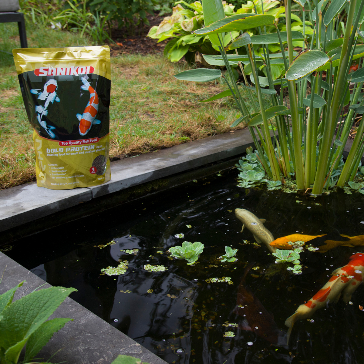 Nourriture pour poissons Gold Protein Plus 3 mm 3 l - SaniKoi