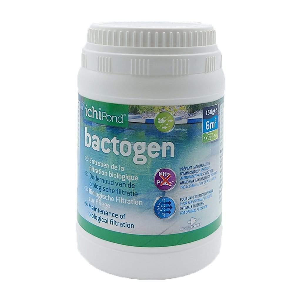 Aquatic Science Bactéries Bactogen pour 6m³ - Bactéries d'entretien de la filtration 5425009252253 NEOBAC006B