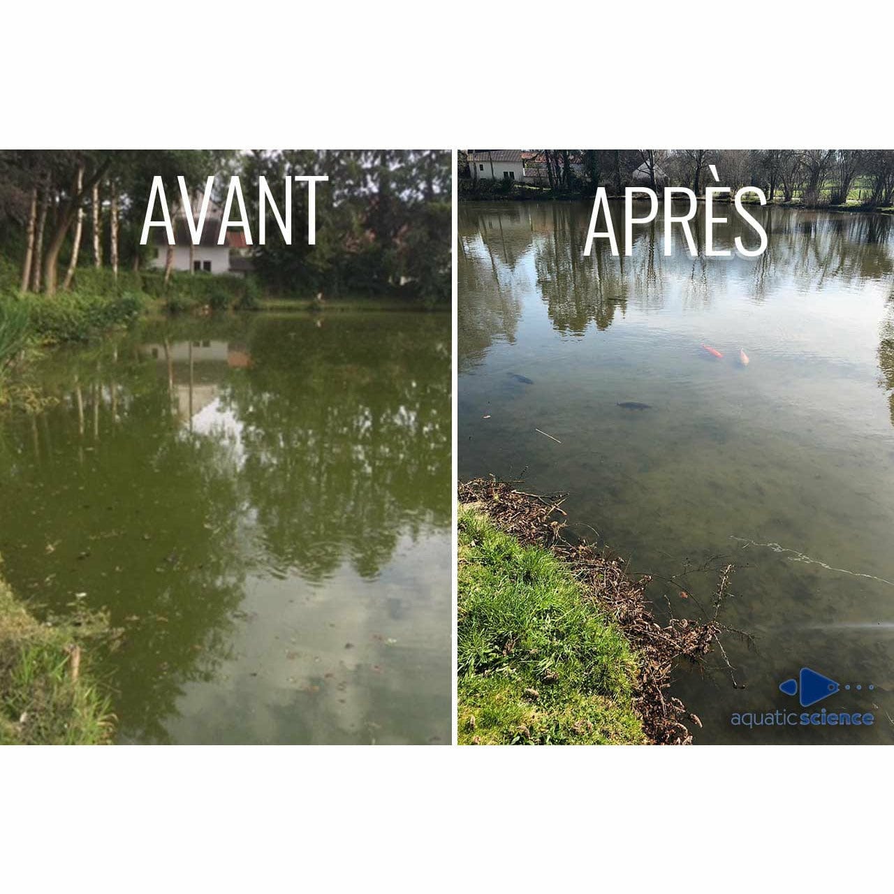 Aquatic Science Clean-Lac 350g pour 25m² - Bactéries pour étang naturel - Eau claire & réduction de la vase et des algues 5425009253045 NEOCLP030B