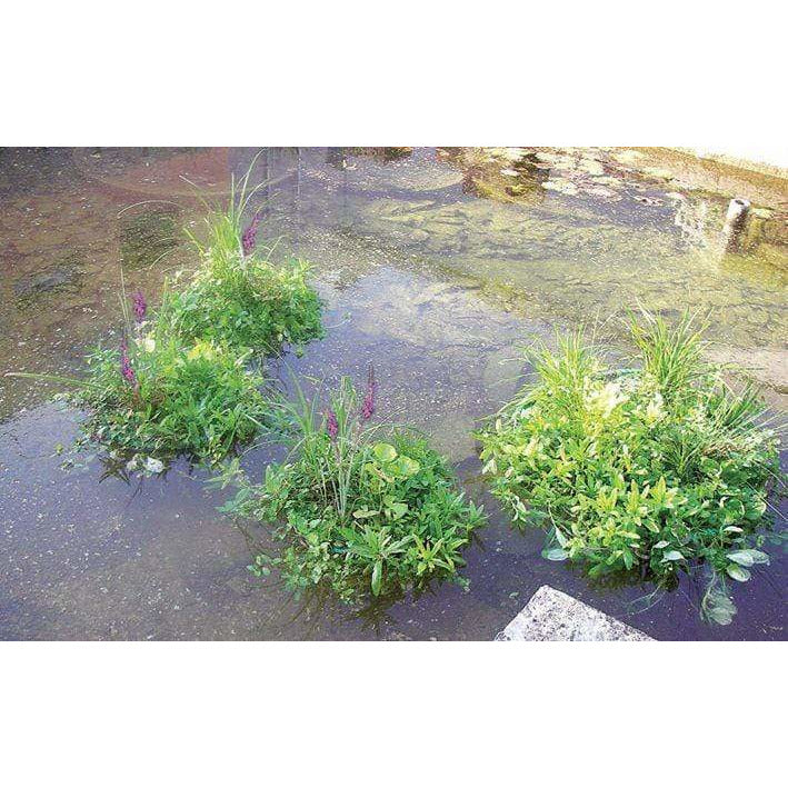 Aquigarden Accessoires pour plantes Île flottante pour plantes aquatiques ronde type 81 8717605078915 SG382