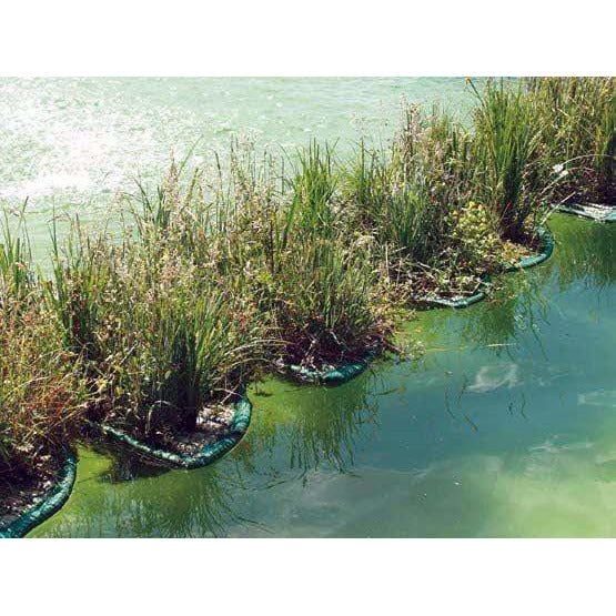 Aquigarden Accessoires pour plantes Île flottante pour plantes aquatiques ronde type 81 8717605078915 SG382
