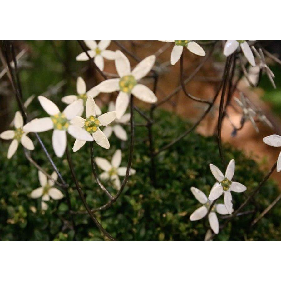 Arrosoir & Persil Fleur blanche - Végétal décoratif en métal recyclé 18008