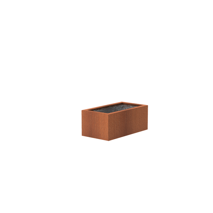 Foudebassin.com Bassins préformés Bassin en acier corten 150 x 800 x 60CM VC10
