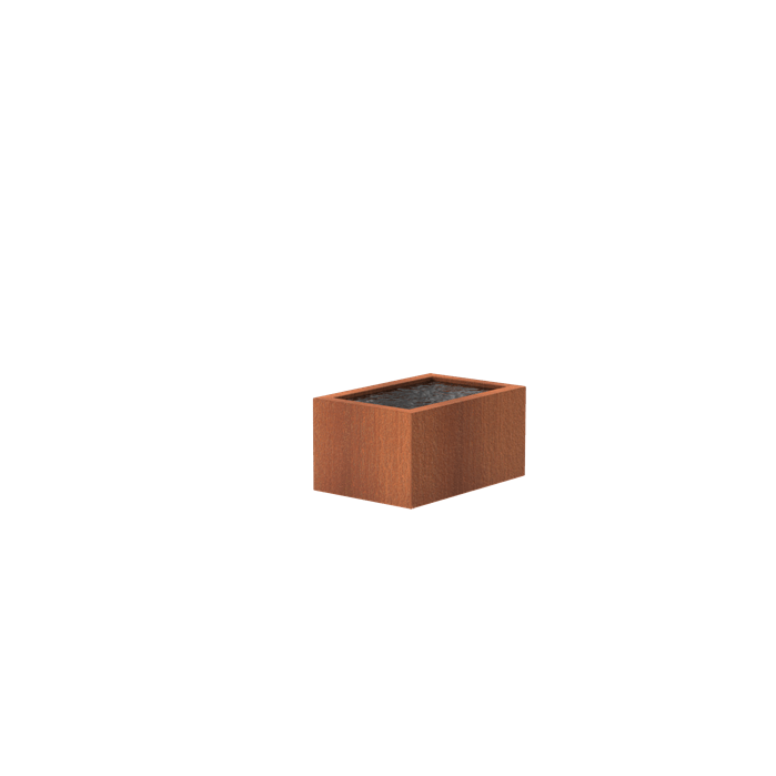 Foudebassin.com Bassins préformés Bassin en corten seul Bassin en acier corten 120 x 800 x 60CM VC11