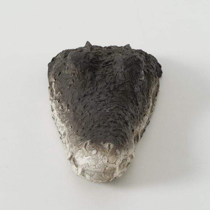 FOUDEBASSIN.COM Décoration CROCODILE FLOTTANT DÉCORATIF POUR ÉTANG 4020606729972 5274300