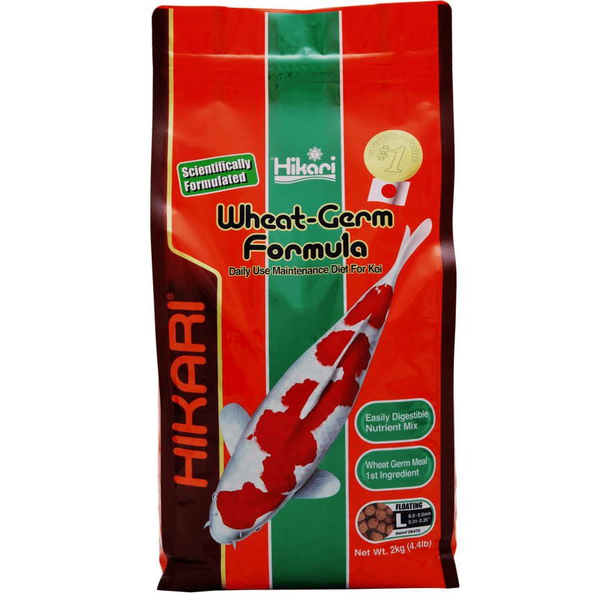 Hikari Nourriture Hikari Wheat-Germ - Large 2kg - Facile à digérer, même en hiver ! 4971618064707 03020210