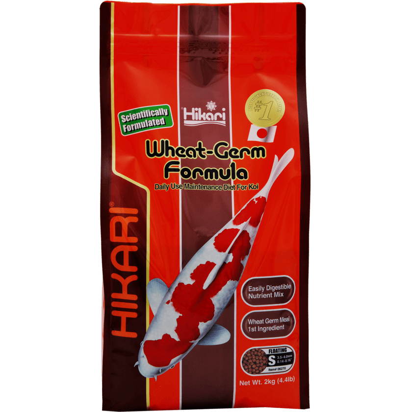 Hikari Nourriture Hikari Wheat-Germ - Mini 2kg - Facile à digérer, même en hiver ! 4971618062703 03020175