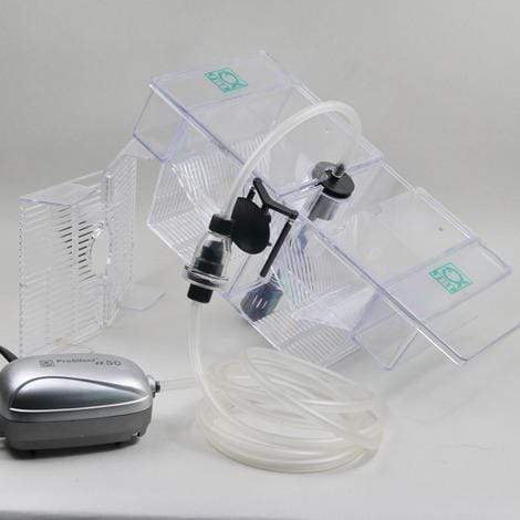 JBL Without Descri JBL BabyHome Oxygen 4014162643209 6432000