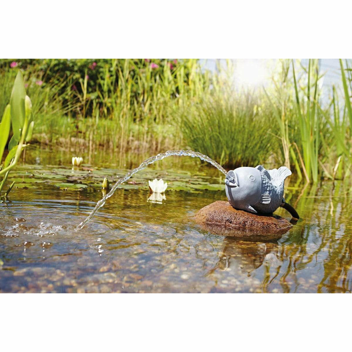 Oase Living Water Figurines GARGOUILLE CRACHEUSE POISSON DE DÉCORATION 4010052367774 36777