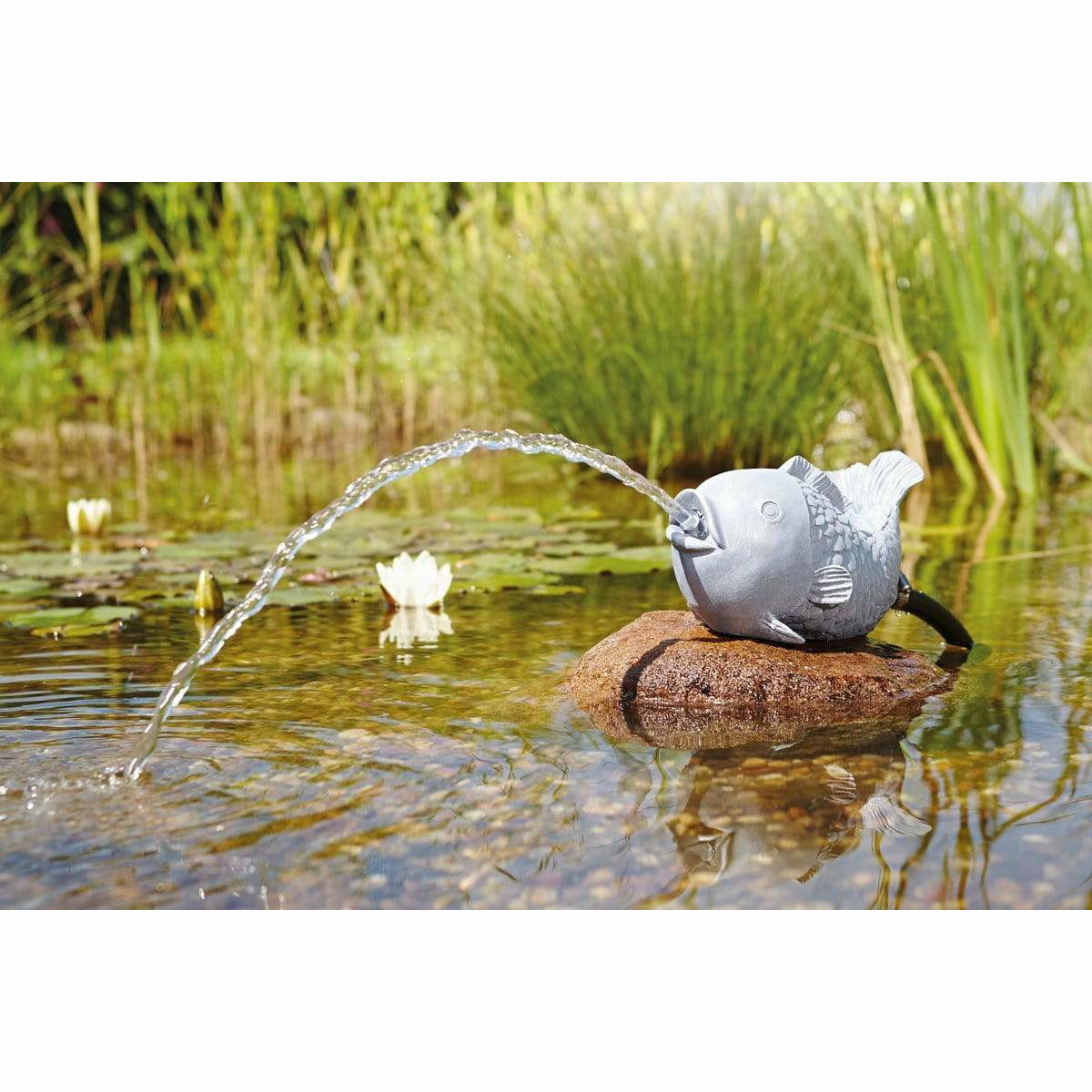 Oase Living Water Figurines GARGOUILLE CRACHEUSE POISSON DE DÉCORATION 4010052367774 36777