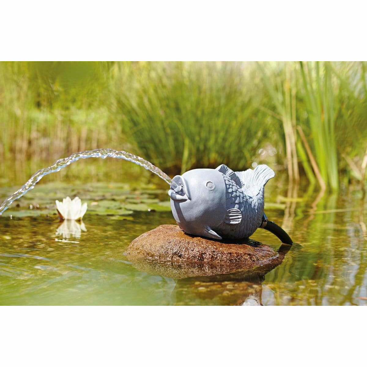 Oase Living Water Figurines GARGOUILLE CRACHEUSE POISSON DE DÉCORATION 4010052367774 36777