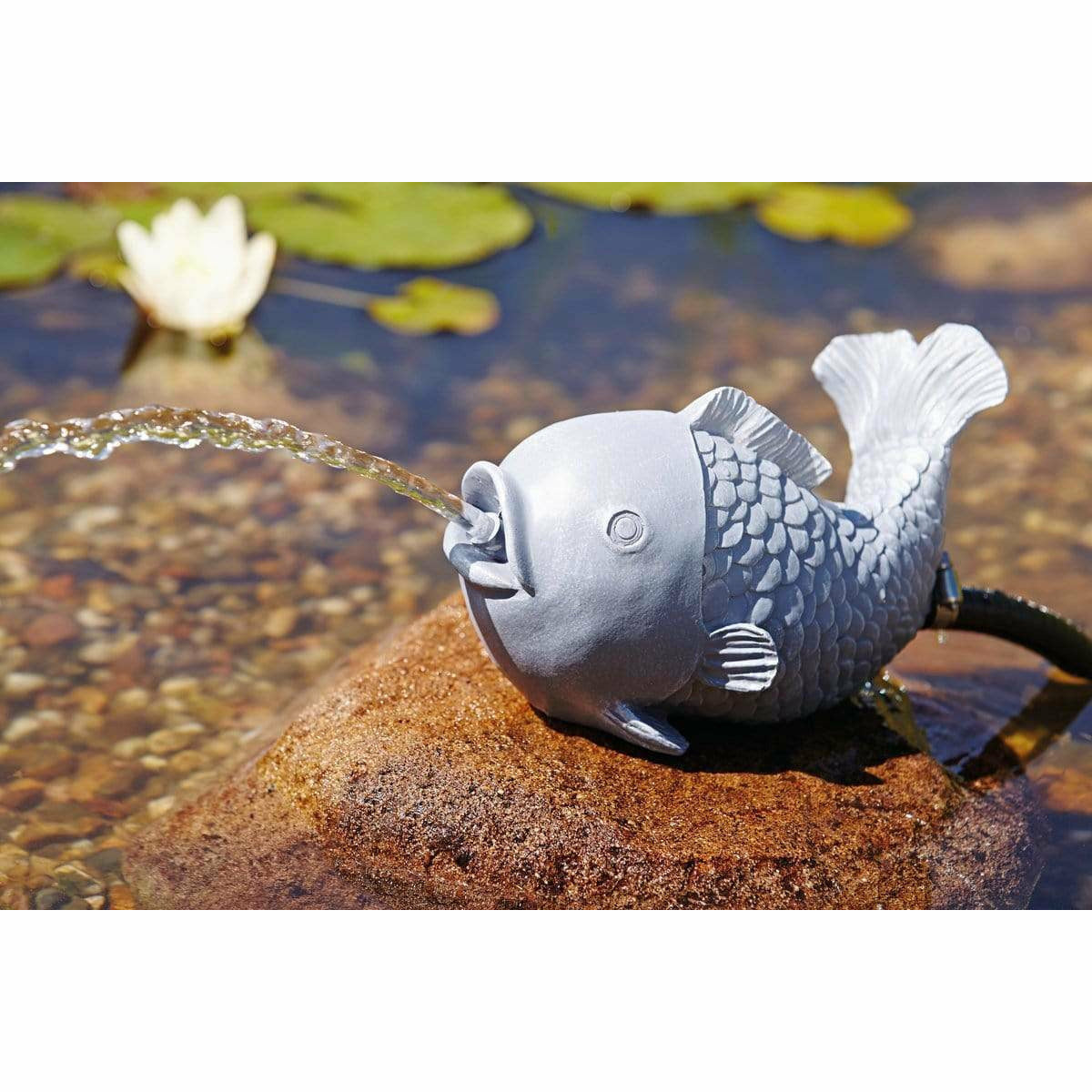 Oase Living Water Figurines GARGOUILLE CRACHEUSE POISSON DE DÉCORATION 4010052367774 36777