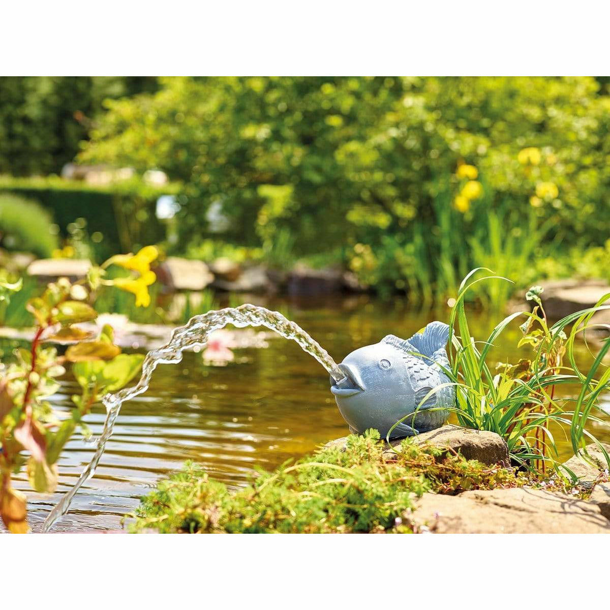 Oase Living Water Figurines GARGOUILLE CRACHEUSE POISSON DE DÉCORATION 4010052367774 36777