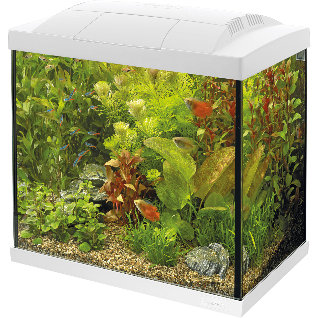 Superfish Aquariums Aquarium Start 30 Tropical Kit Blanc - 25L - Superfish 8715897165863 A4050277