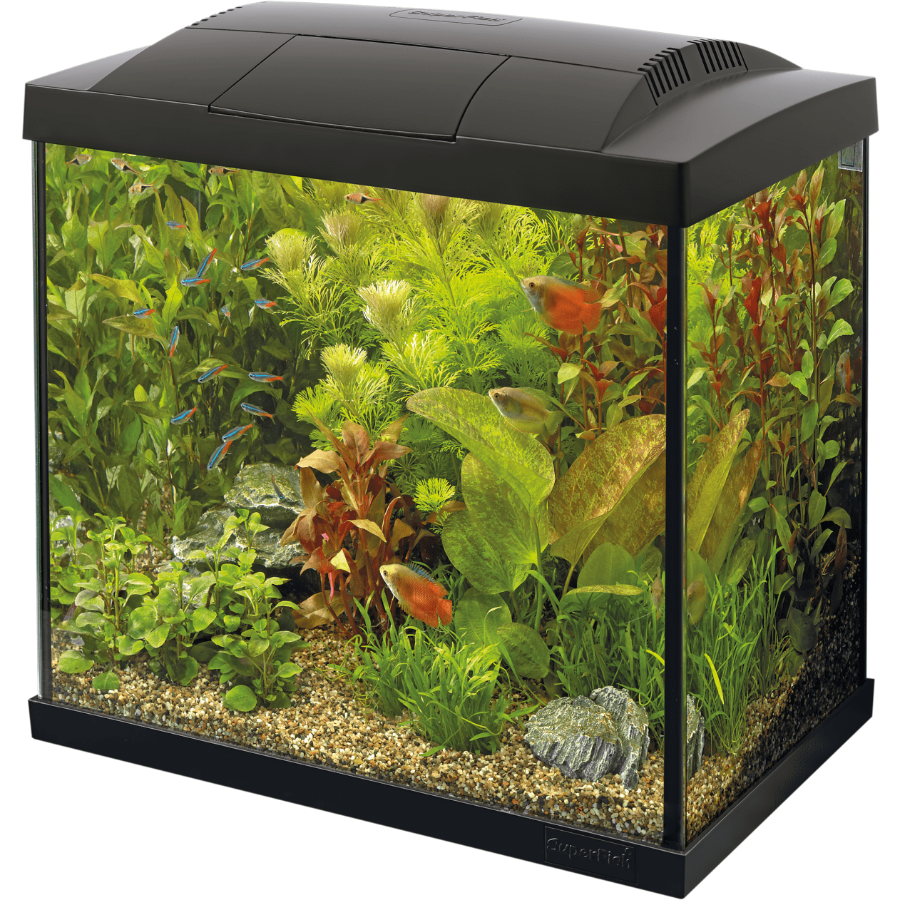 Superfish Aquariums Aquarium Start 30 Tropical Kit Noir - 25L - Superfish 8715897158650 A4050275