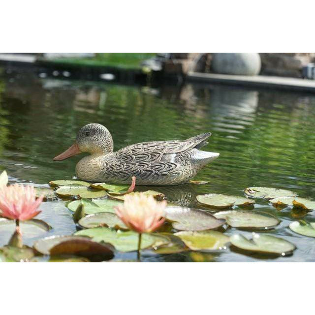 Ubbink Colvert femelle- Canard flottant de décoration 8711465650380 1065038