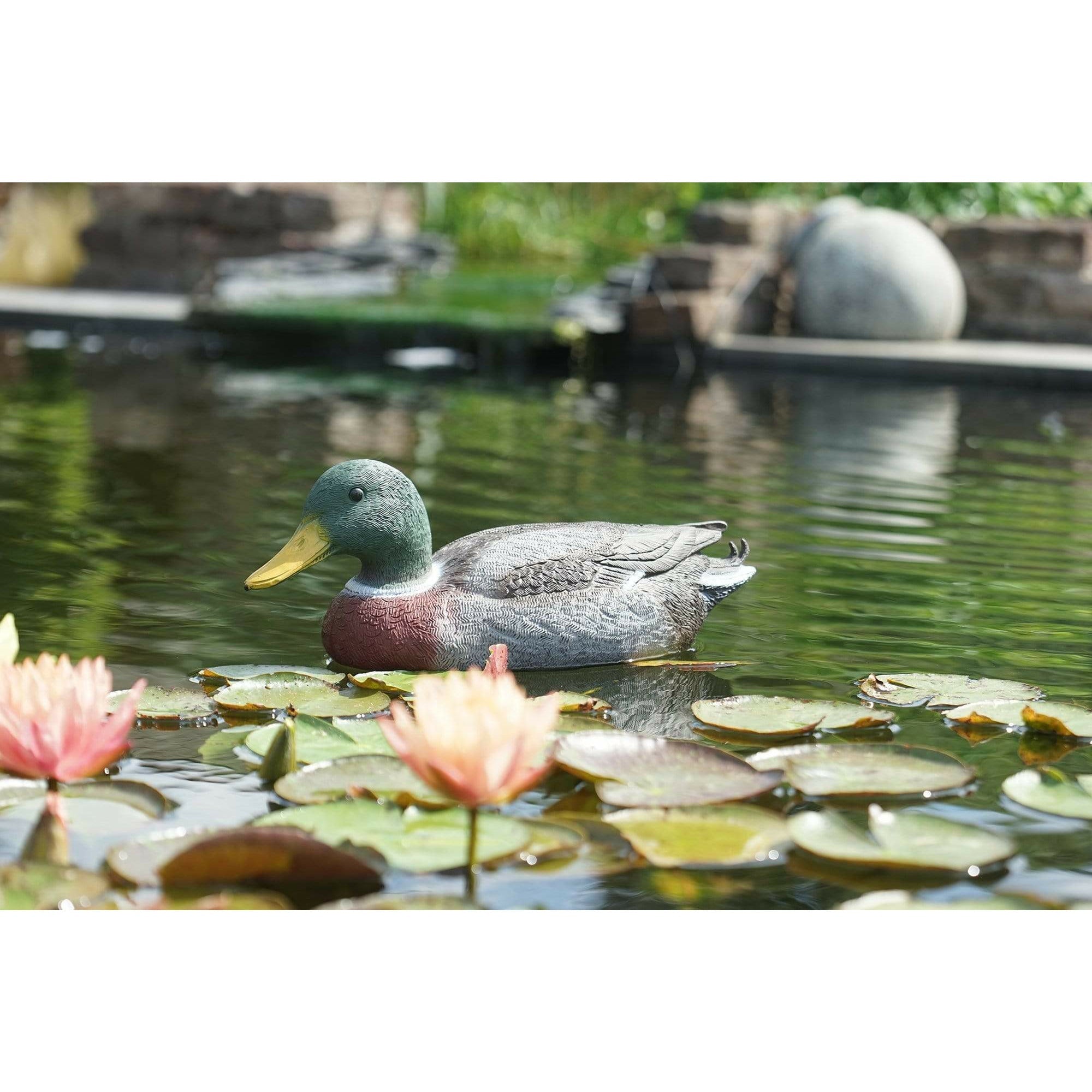 Ubbink Figurines Colvert mâle - Canard flottant de décoration 8711465650458 1065045