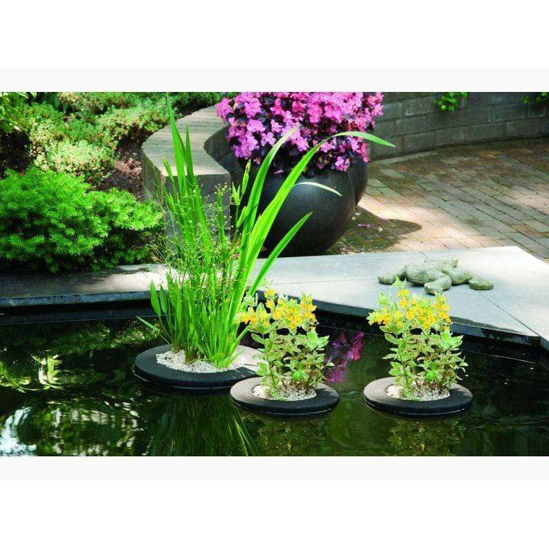 Laguna Round Planting Basket, 10-in Laguna Round Planting Basket, 10-in