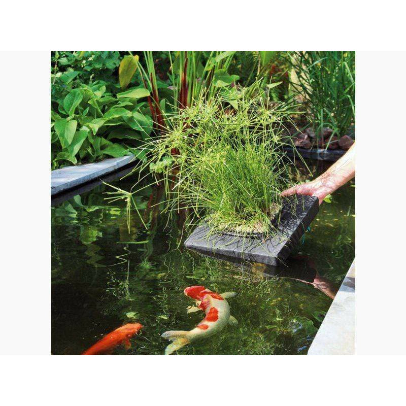 Velda Paniers de plantation Panier de plantation flottant carré de 35CM - Velda 8711921230750 127579